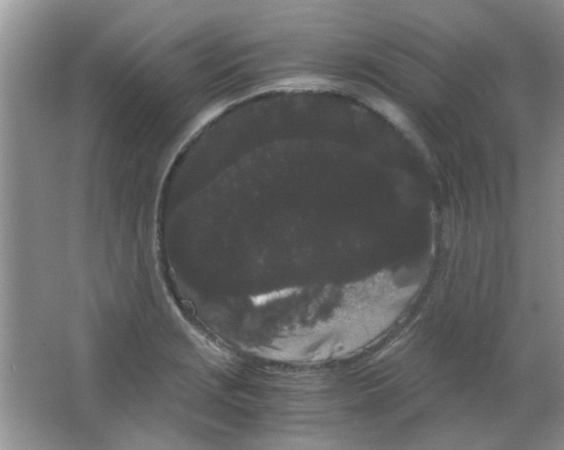 X0000063501229200602101851