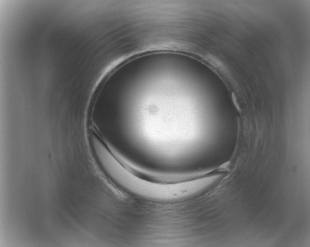 X0000063501230200602101851