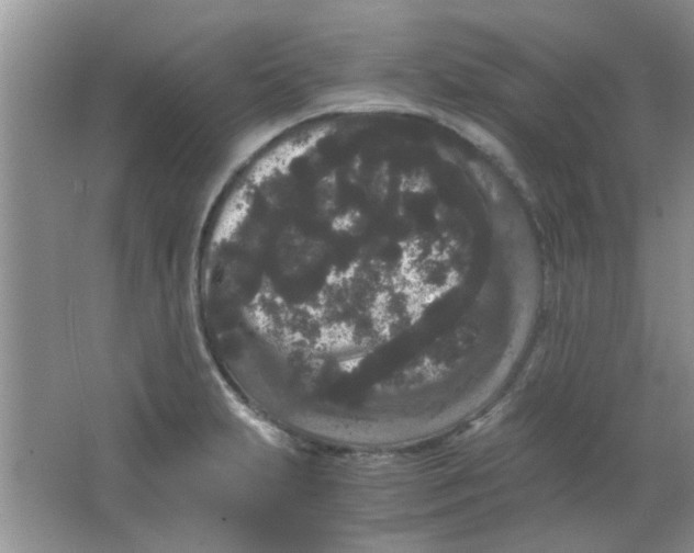 X0000063501231200602101851