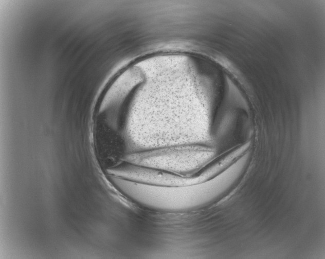 X0000063501232200602101851