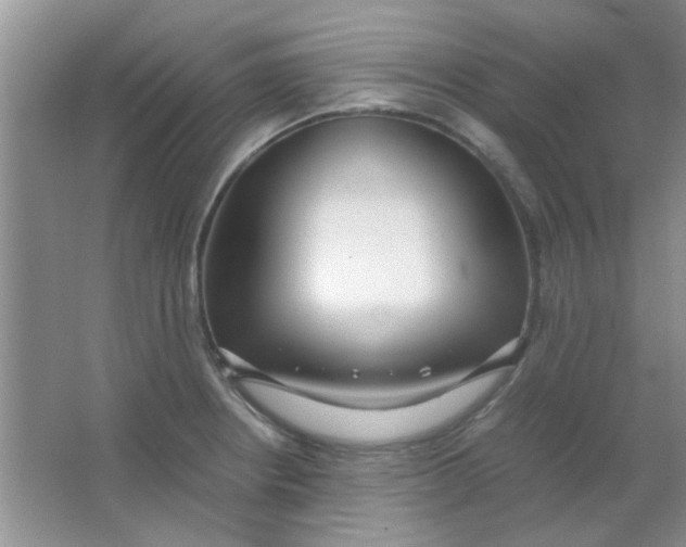 X0000063501234200602101851