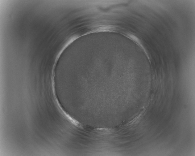 X0000063501235200602101851