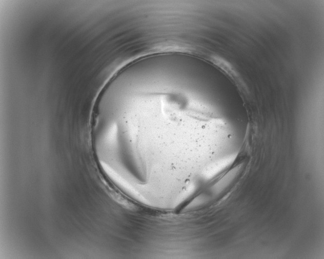 X0000063501236200602101851