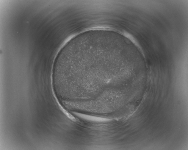 X0000063501237200602101851