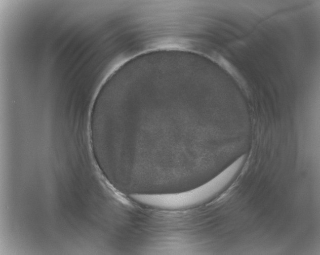 X0000063501240200602101851