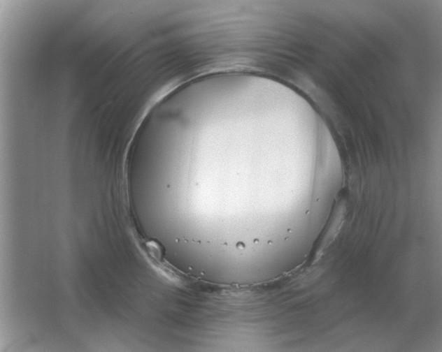 X0000063501242200602101851