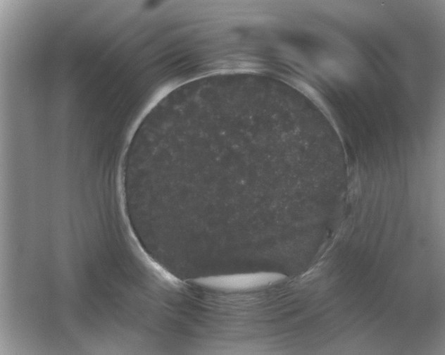 X0000063501243200602101851