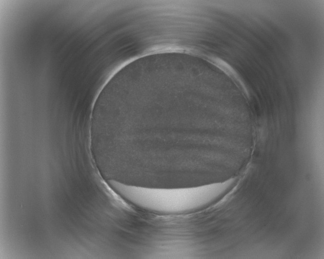 X0000063501244200602101851