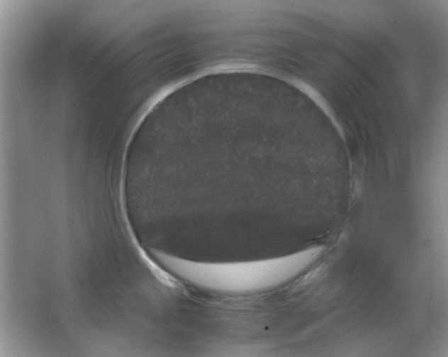 X0000063501245200602101851