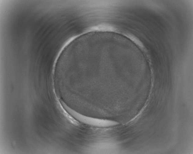 X0000063501248200602101851