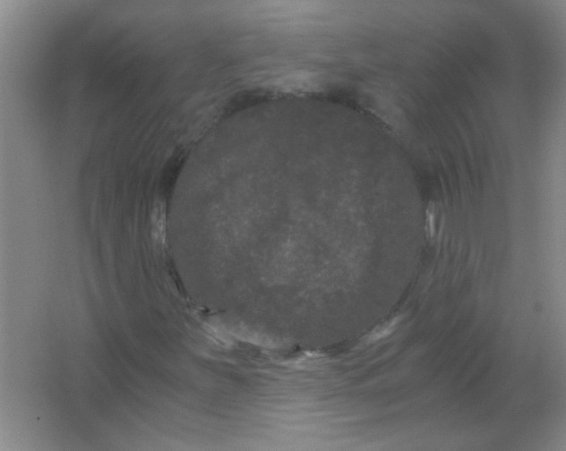 X0000063501251200602101850