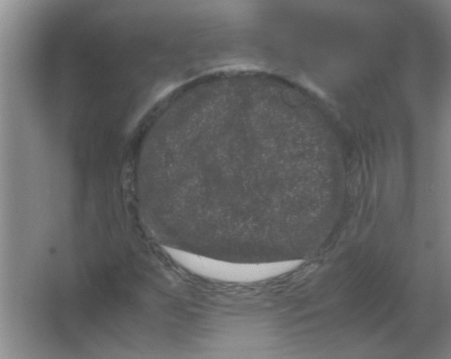 X0000063501255200602101850