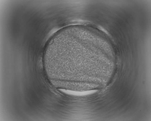 X0000063501259200602101850