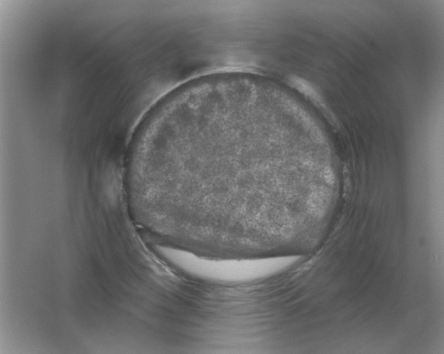 X0000063501260200602101850