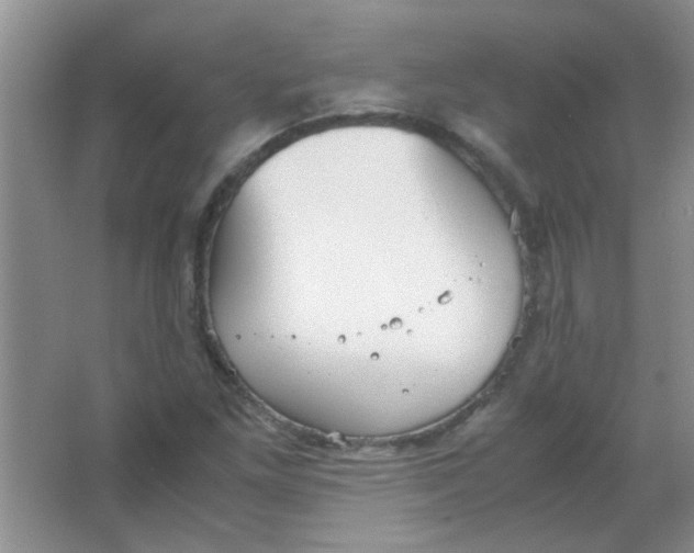 X0000063501261200602101850