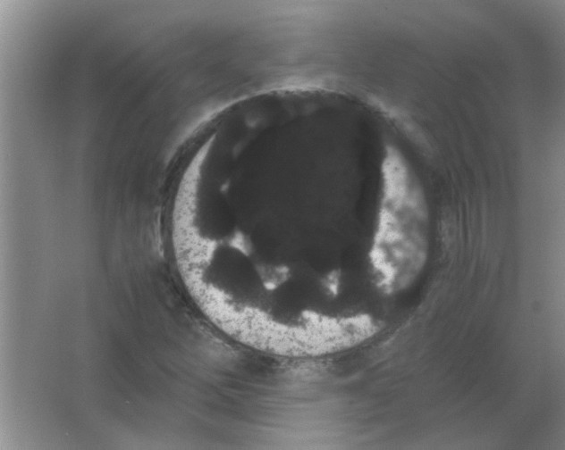 X0000063501262200602101850