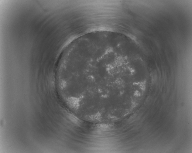 X0000063501266200602101850