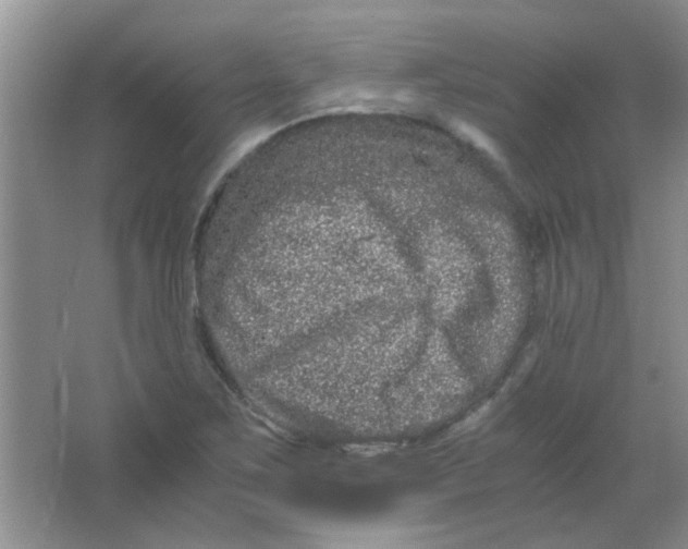 X0000063501267200602101850