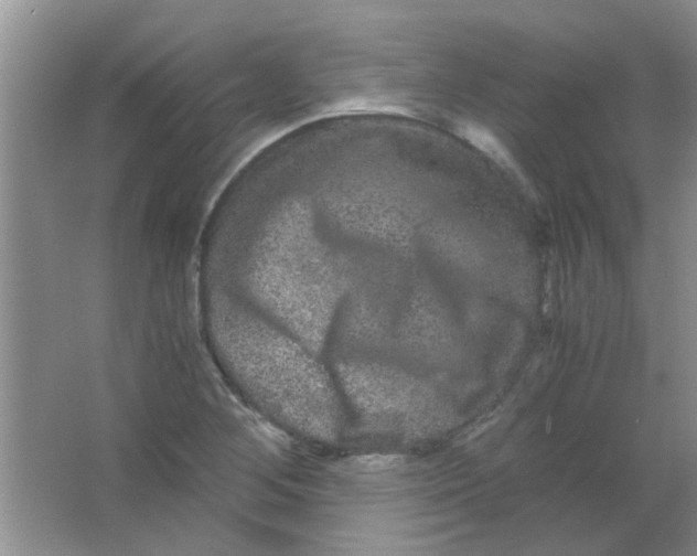 X0000063501268200602101850