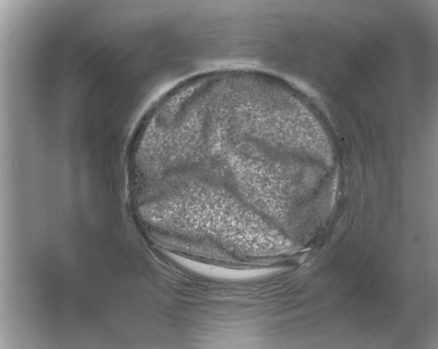 X0000063501271200602101850