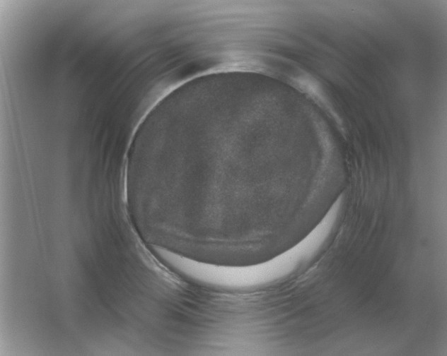 X0000063501276200602101850