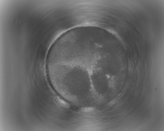 X0000063501278200602101850