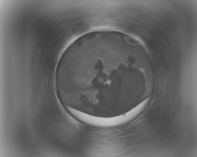 X0000063501279200602101850