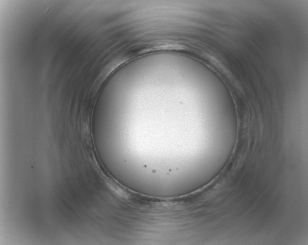 X0000063501281200602101850