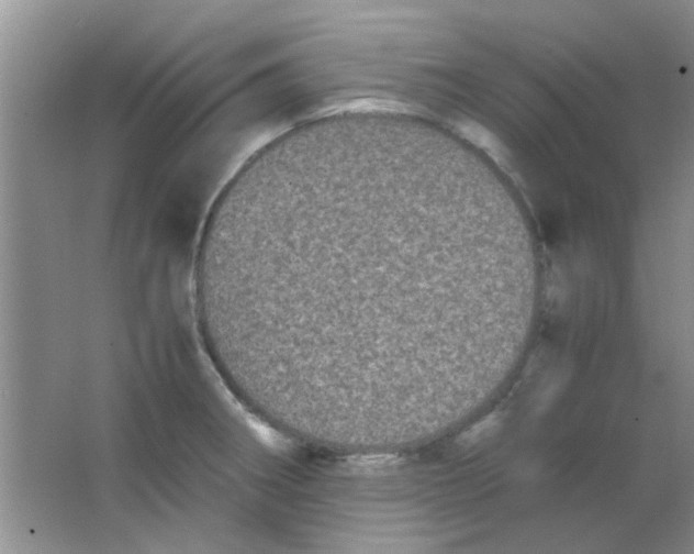 X0000063501282200602101850