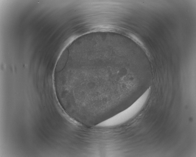 X0000063501283200602101849