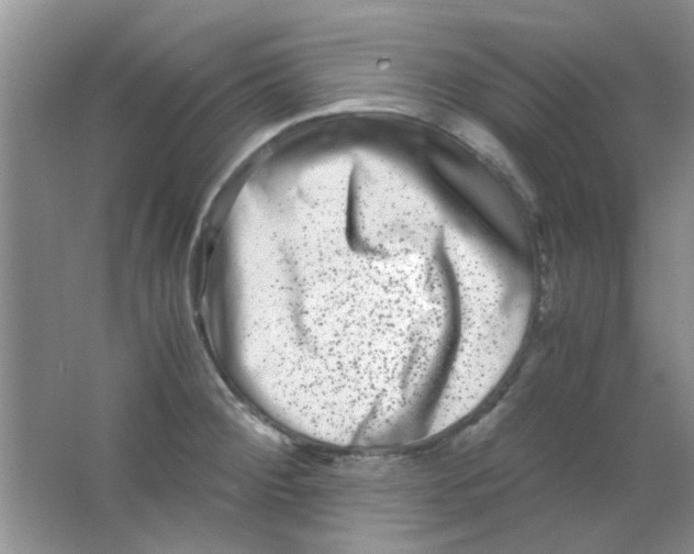 X0000063501284200602101849