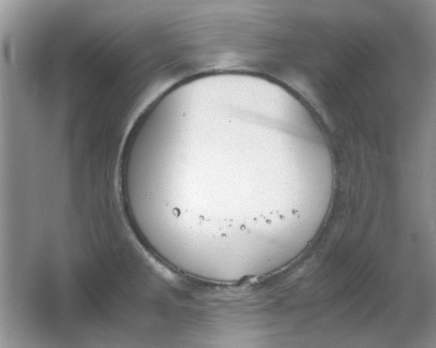 X0000063501285200602101849