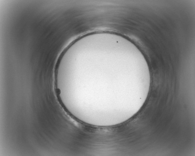 X0000063501286200602101849