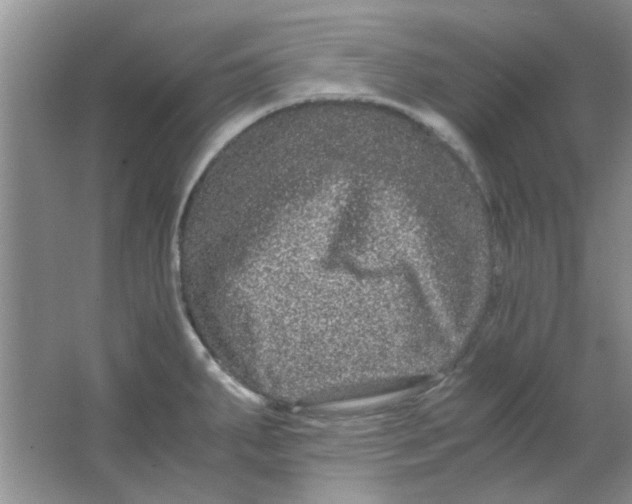 X0000063501287200602101849