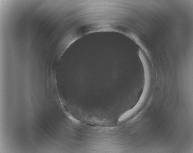 X0000063501289200602101849