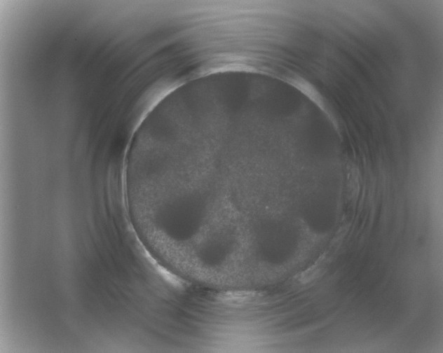 X0000063501290200602101849