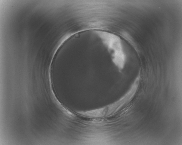 X0000063501291200602101849