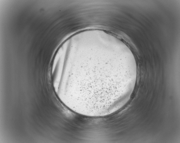 X0000063501292200602101849