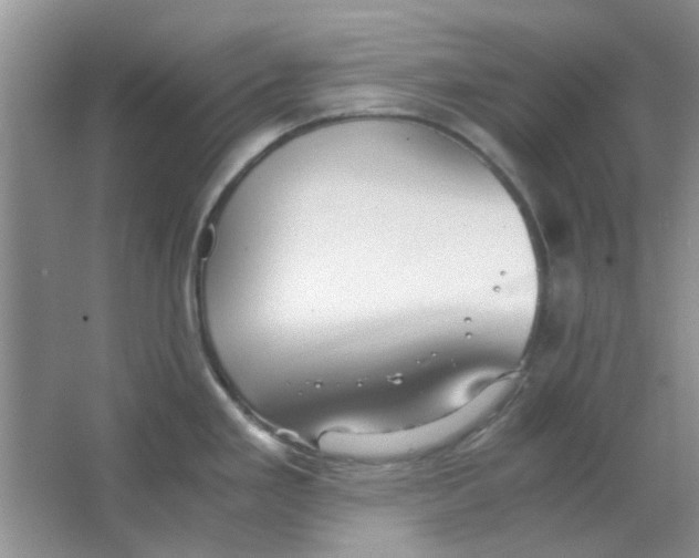 X0000063501293200602101849