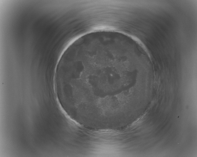 X0000063501295200602101849