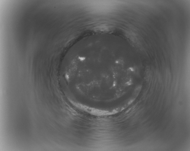 X0000063501297200602101848