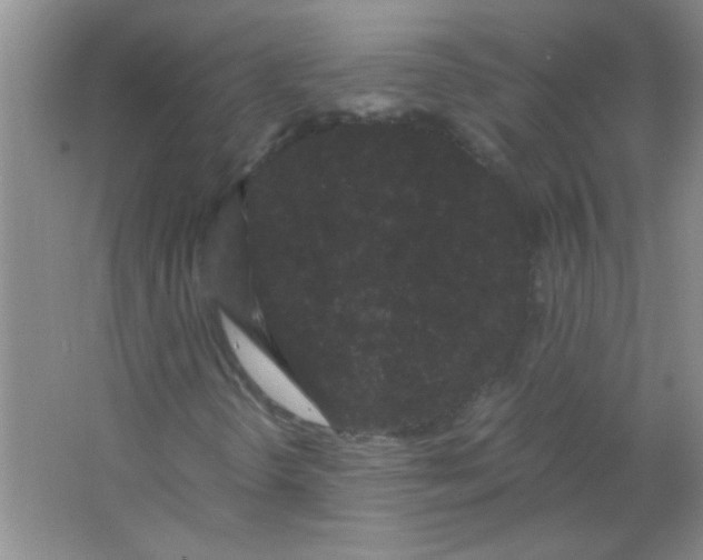 X0000063501298200602101848