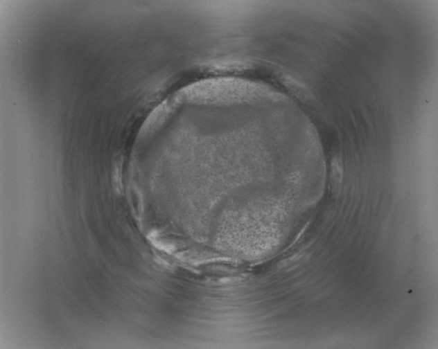 X0000063501300200602101849