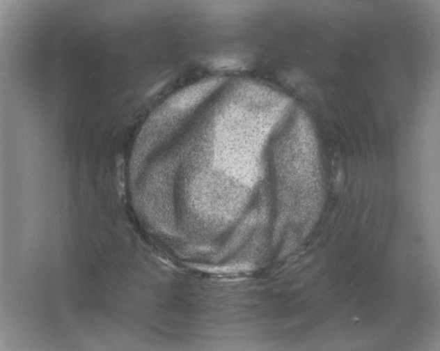 X0000063501301200602101849