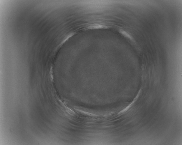 X0000063501305200602101849