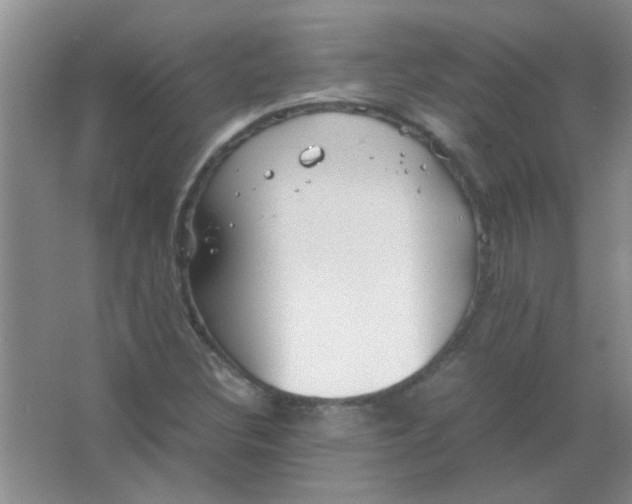 X0000063501308200602101849