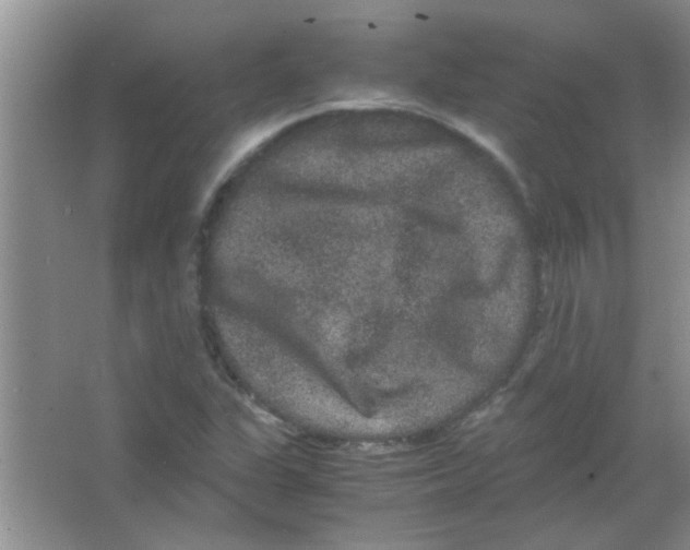 X0000063501311200602101849