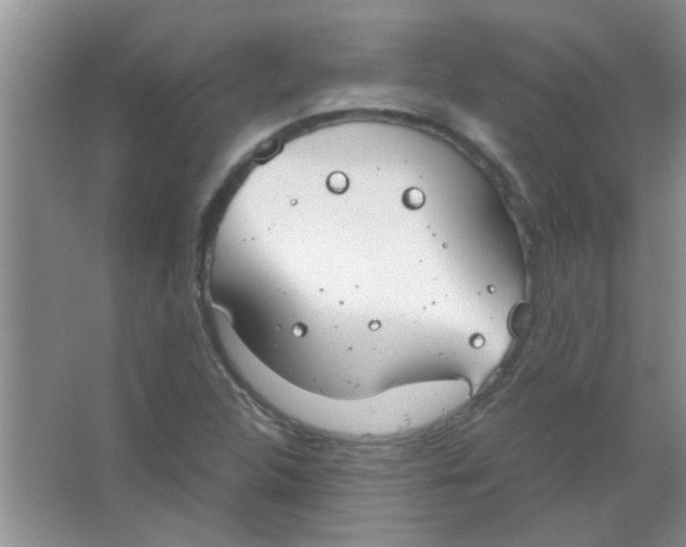 X0000063501312200602101849