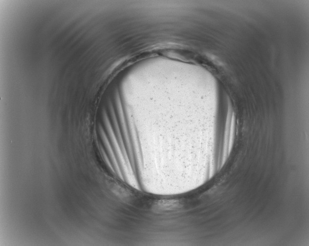 X0000063501313200602101849