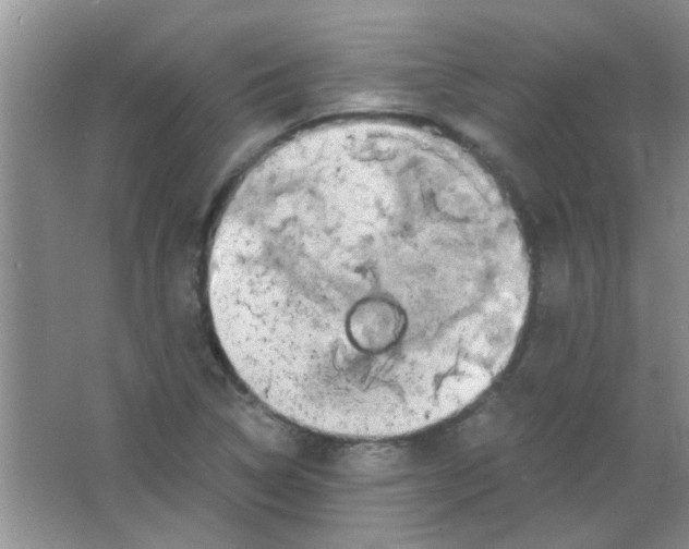 X0000063501314200602101849